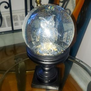 Owl Water 💧 Globe